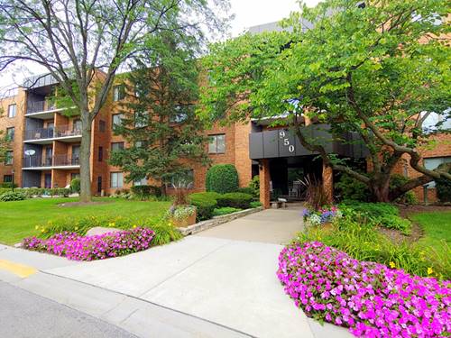 950 E Wilmette Unit 214, Palatine, IL 60074