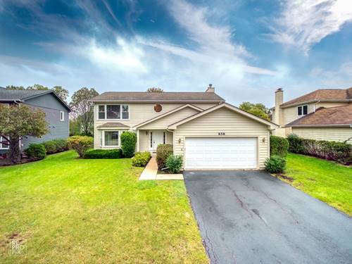 858 Horatio, Buffalo Grove, IL 60089