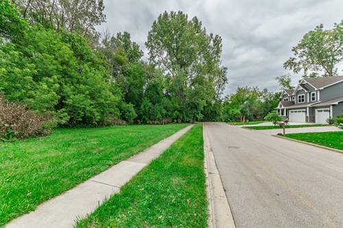 Lot 28 E Ellis, Libertyville, IL 60048