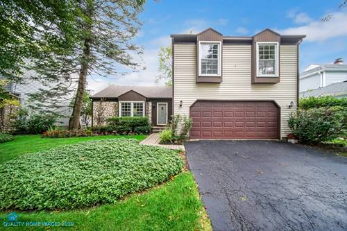 1036 Providence, Buffalo Grove, IL 60089