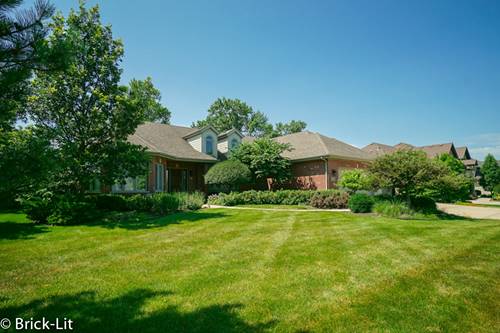 22698 Nature Creek, Frankfort, IL 60423