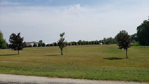 Lot 1 Fern, St. Anne, IL 60964