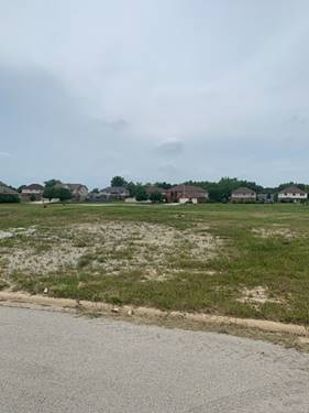 Lot 36 Ribbon, Monee, IL 60449