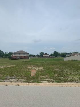 Lot 47 Ribbon, Monee, IL 60449