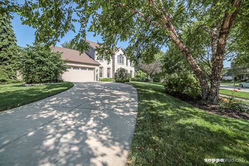 1603 Frost, Naperville, IL 60564