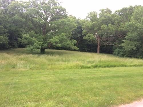 LOT 1 Boundary Hill, Woodridge, IL 60517