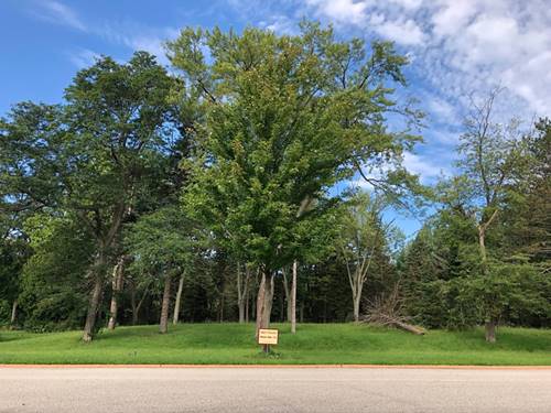 Lot 13 Abbeywoods, Barrington, IL 60010