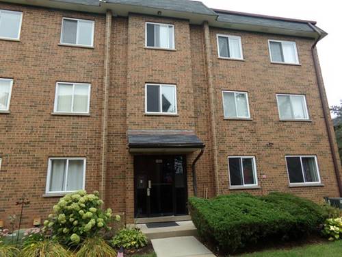 928 Casey Unit 6, Schaumburg, IL 60173