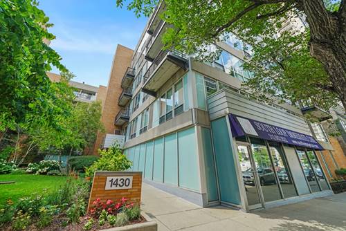 1430 S Michigan Unit 210, Chicago, IL 60605