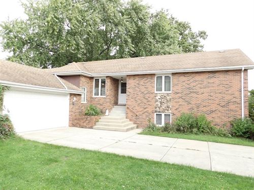 11118 S Helena, Palos Hills, IL 60465