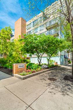 1430 S Michigan Unit 202, Chicago, IL 60605