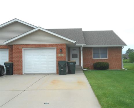 280 S Will, Diamond, IL 60416