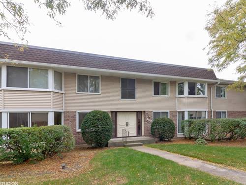 3004 Roberts Unit 1, Woodridge, IL 60517