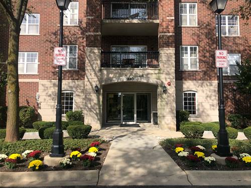 440 W Mahogany Unit 312, Palatine, IL 60067