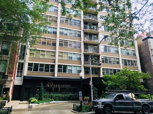 40 E Cedar Unit 11C, Chicago, IL 60611