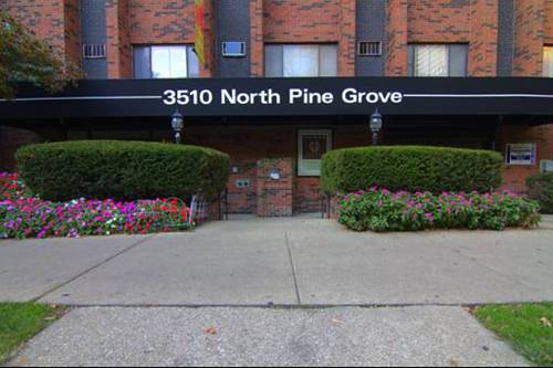 3510 N Pine Grove Unit 314, Chicago, IL 60657