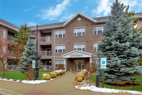 10 N Gilbert Unit 115, South Elgin, IL 60177