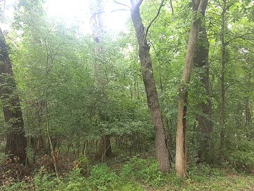 Lot 679 Rollingwood, Varna, IL 61375