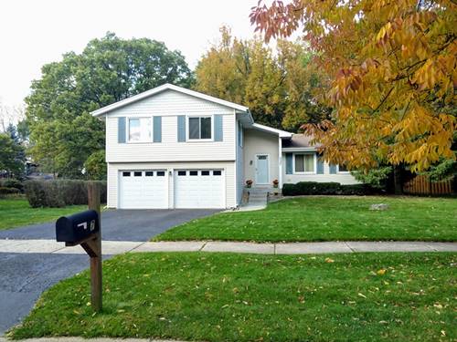 337 Carriage Hill, Naperville, IL 60565