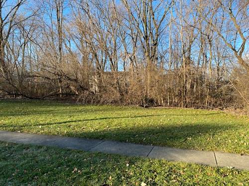 Lot #30 E Ellis, Libertyville, IL 60048