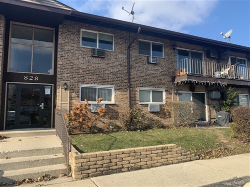 828 E Old Willow Unit 213, Prospect Heights, IL 60070