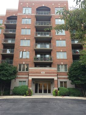 410 S Western Unit 202, Des Plaines, IL 60016