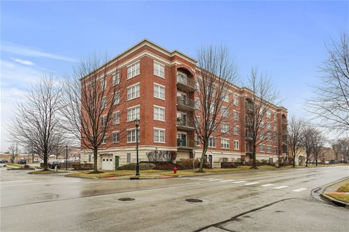 104 N Plum Grove Unit 503, Palatine, IL 60067