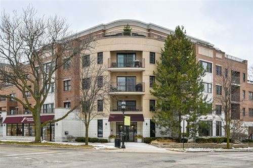 586 Crescent Unit 304, Glen Ellyn, IL 60137