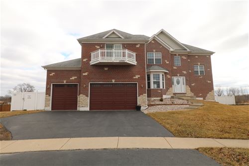 23661 Dayfield, Plainfield, IL 60586