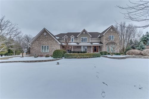 12461 Brighton, Plainfield, IL 60585