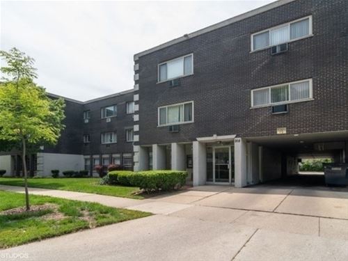 914 N Austin Unit B1, Oak Park, IL 60302