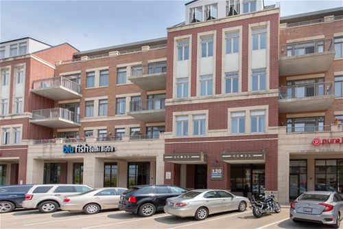 120 N Northwest Unit 405, Park Ridge, IL 60068