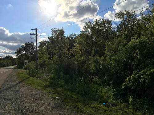 Lot 18 Lemont, Lemont, IL 60439