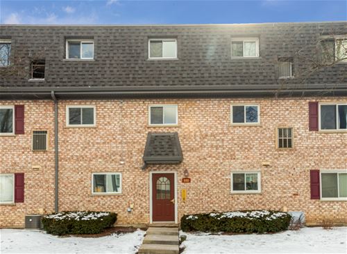 880 S Plum Grove Unit 209, Palatine, IL 60067