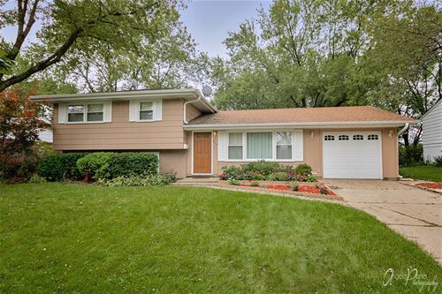 814 Vassar, Schaumburg, IL 60193