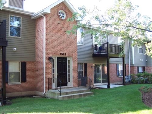 1543 Raymond Unit 202, Naperville, IL 60563