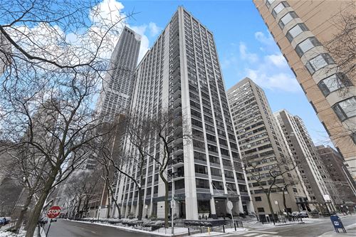 222 E Pearson Unit 204, Chicago, IL 60611