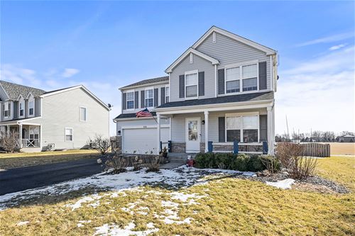 352 Coneflower, Minooka, IL 60447