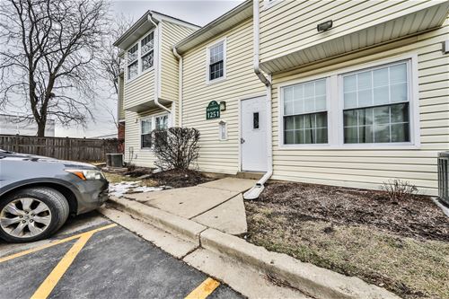 1251 Wyndham Unit 204, Palatine, IL 60074