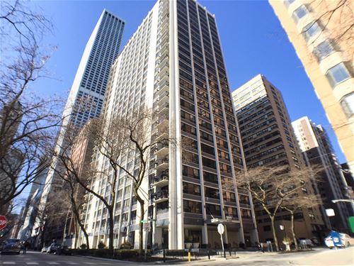 222 E Pearson Unit 2006, Chicago, IL 60611