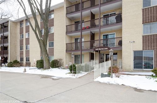 640 Murray Unit 202, Des Plaines, IL 60016