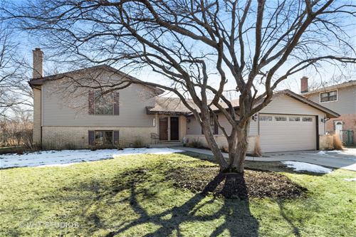 1717 E Peachtree, Arlington Heights, IL 60004