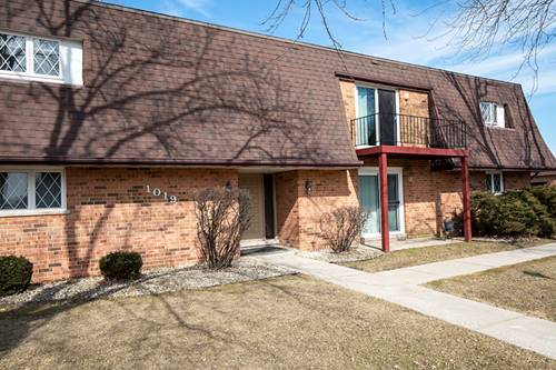 1019 Shagbark Unit 2D, New Lenox, IL 60451