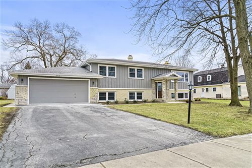 503 Dinah, Roselle, IL 60172