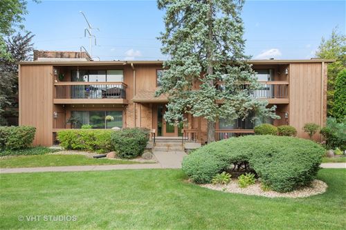 8066 Garfield Unit 11-3, Burr Ridge, IL 60527