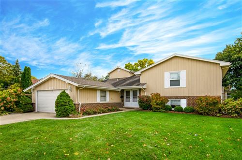 1833 E Crabtree, Arlington Heights, IL 60004