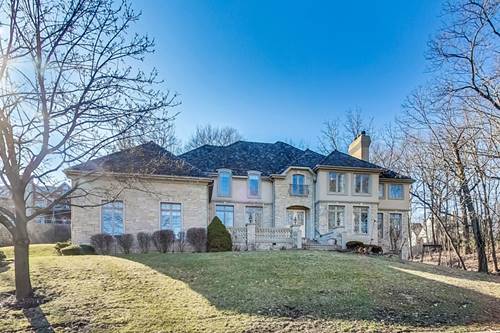 9366 Falling Waters, Burr Ridge, IL 60527