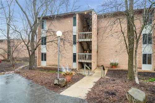 6015 Forest View Unit 1A, Lisle, IL 60532