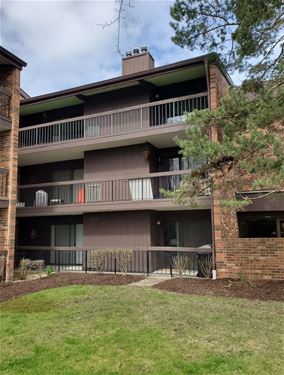 14620 Scarborough Unit PH4, Oak Forest, IL 60452