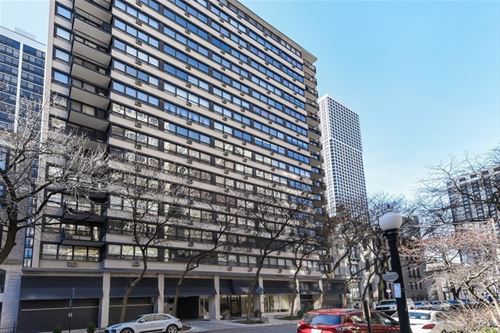 33 E Cedar Unit 18A, Chicago, IL 60611